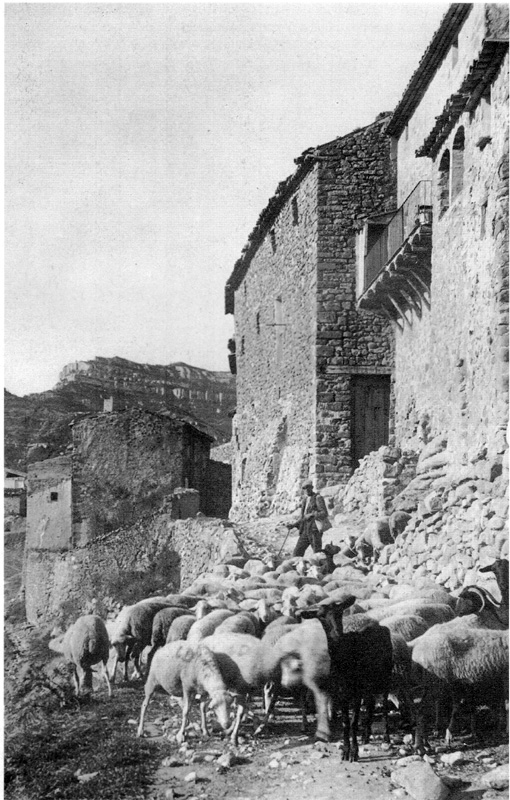 Albarca des del camí dels Solans (1929)