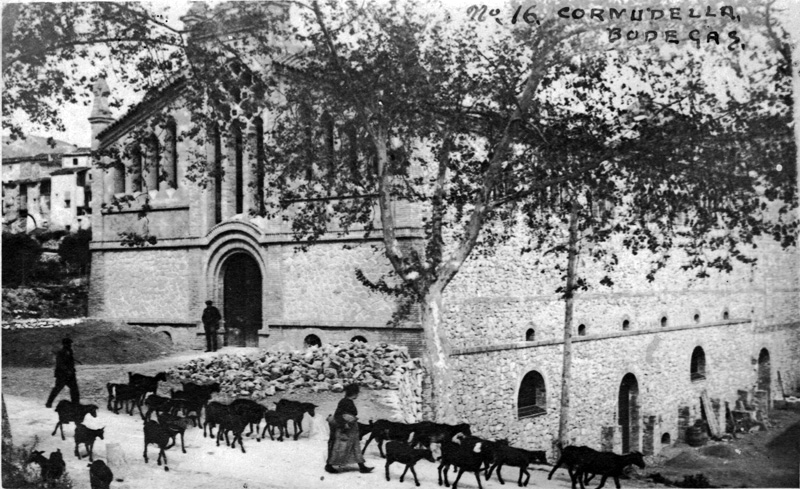 Celler Cooperatiu, cap a 1920